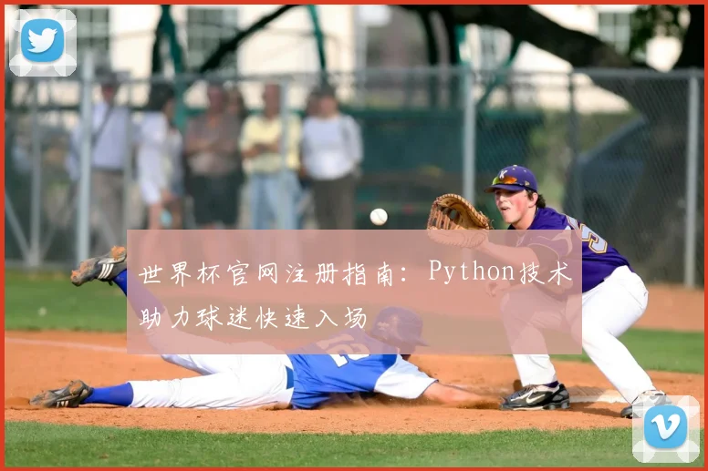 世界杯官网注册指南：Python技术助力球迷快速入场