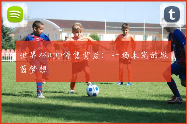 世界杯app停售背后:一场未完的绿茵梦想
