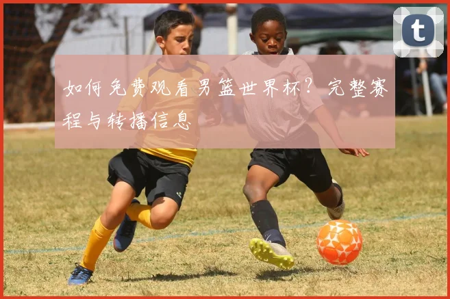 如何免费观看男篮世界杯？完整赛程与转播信息