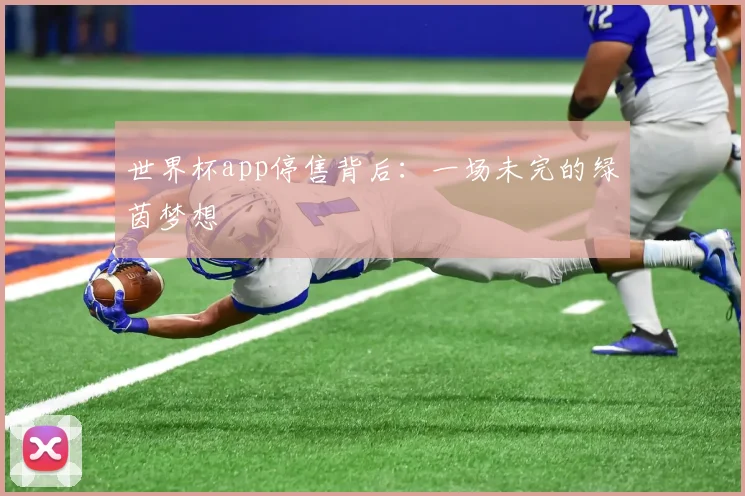 世界杯app停售背后:一场未完的绿茵梦想