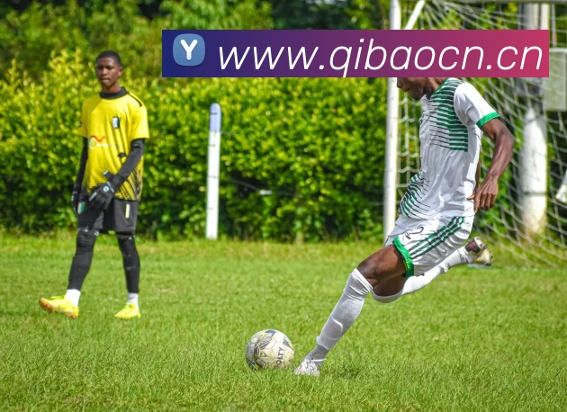 华体官网首页登录入口服务体系